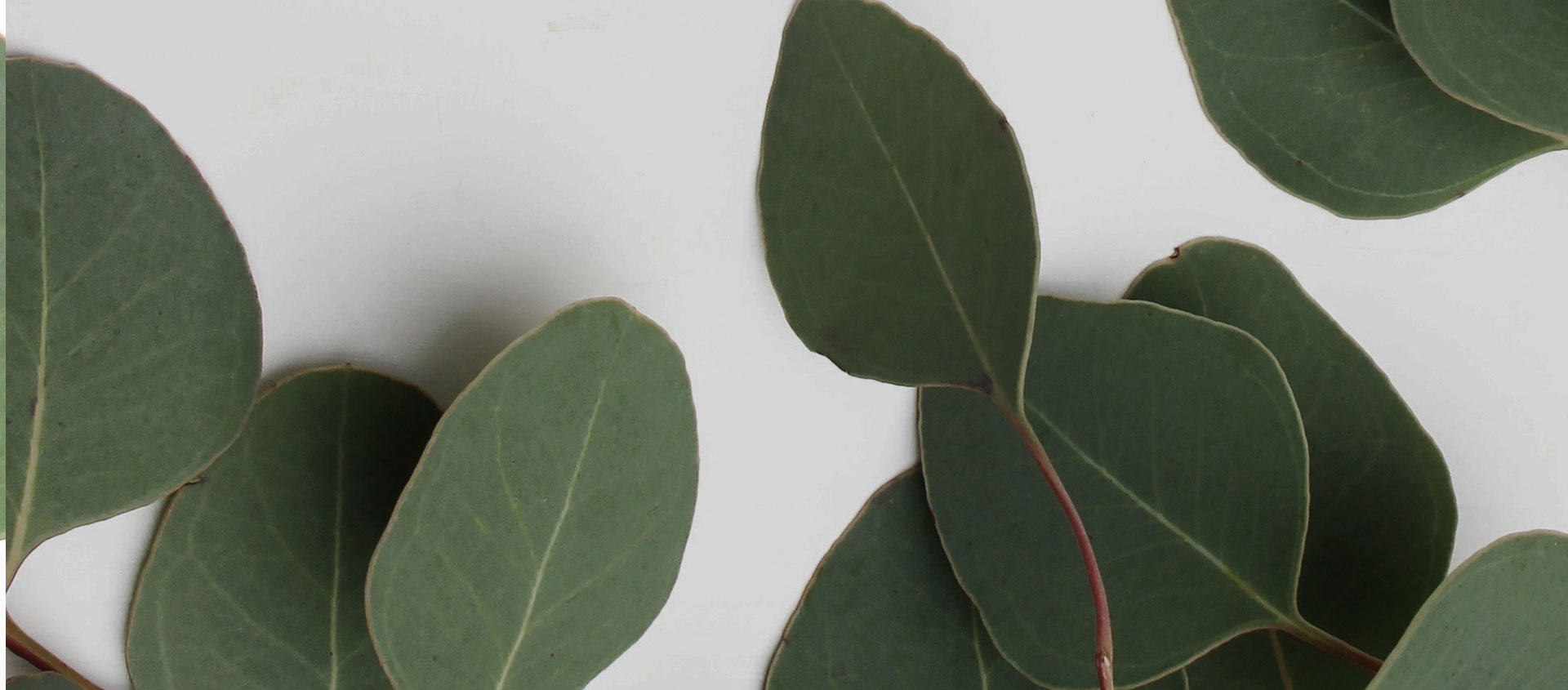 Взыскание ущерба от экологических правонарушений в Новоазовске